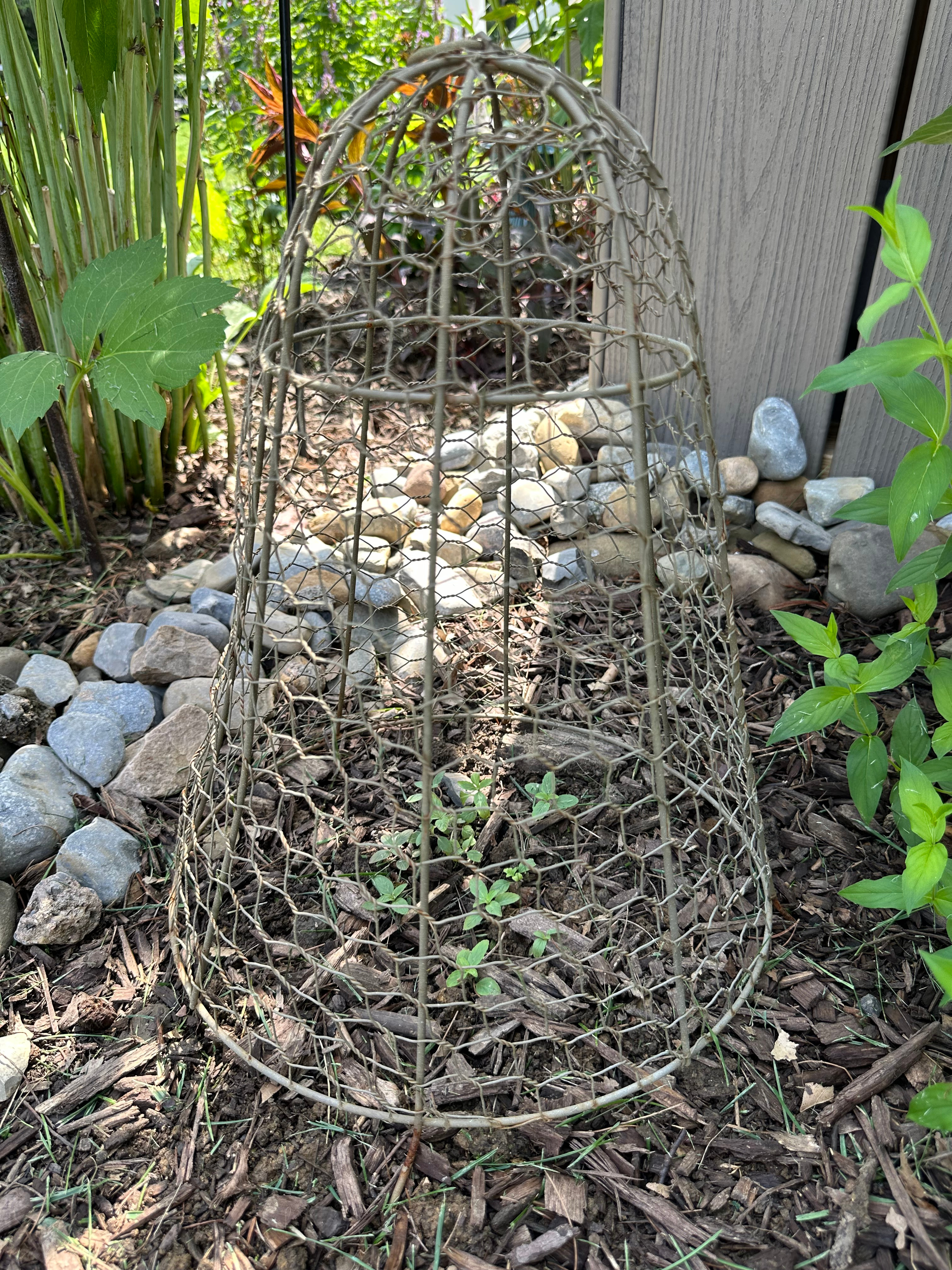 Wire cloche